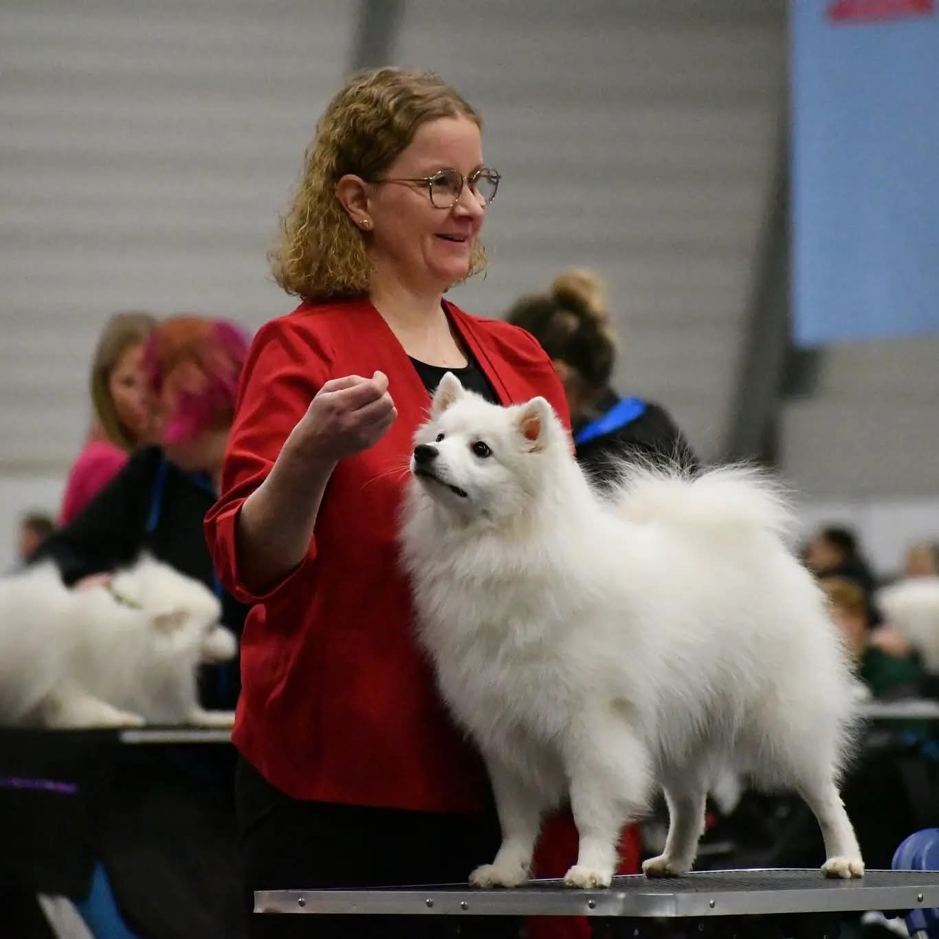 Kuva: Tiia Ruokolainen